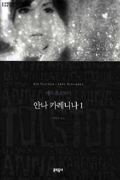 Cover of 안나 카레니나